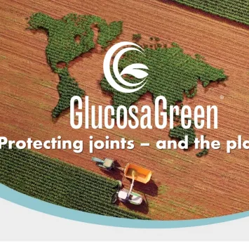 GlucosaGreen® – Giải Pháp Glucosamine Bền Vững Bảo Vệ Sức Khỏe Khớp